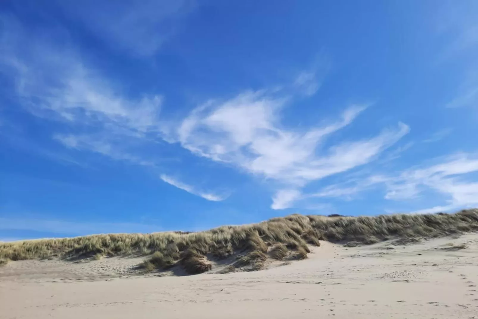 Fort den Haak - Chalet 1 tm 15  hond-Areas summer 5km