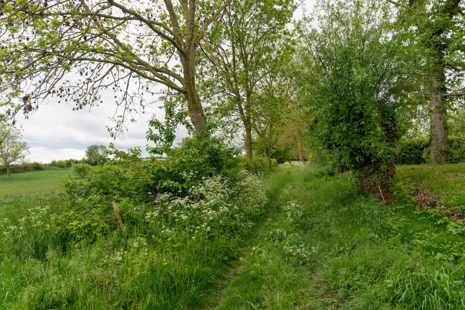 Valleyview Cottages - NR14-Gebiete Sommer 5 km