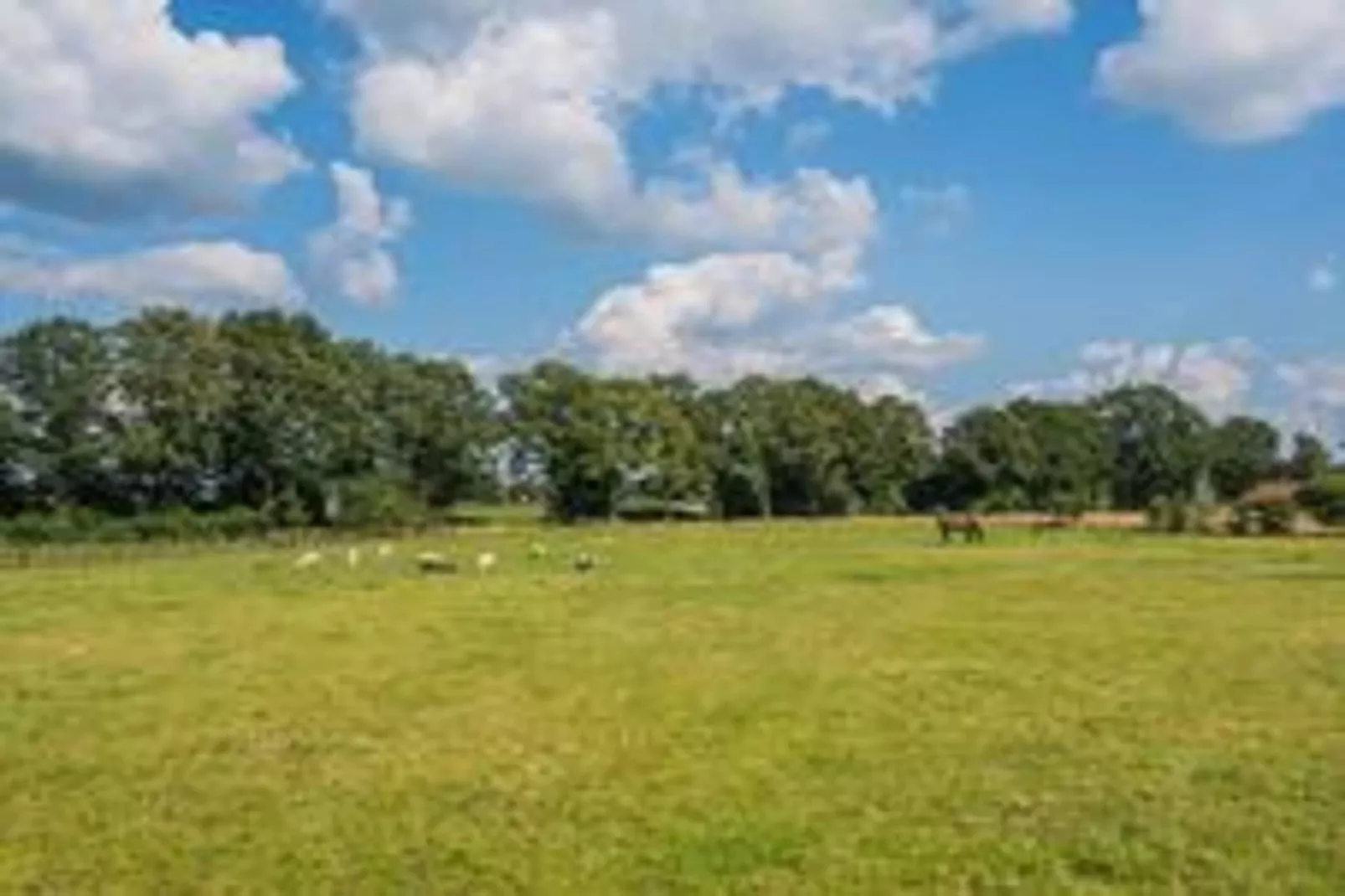 Boerderij Dwingelderveld-Gebiete Sommer 5 km