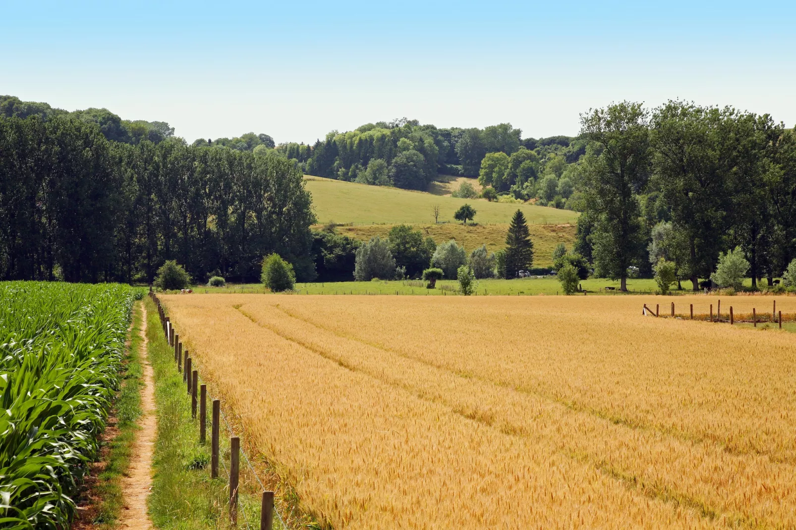 Hoeve in gunne winkel 1-Gebiete Sommer 1 km