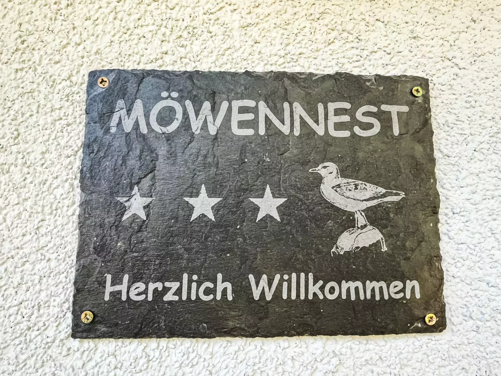 Möwennest-Outside