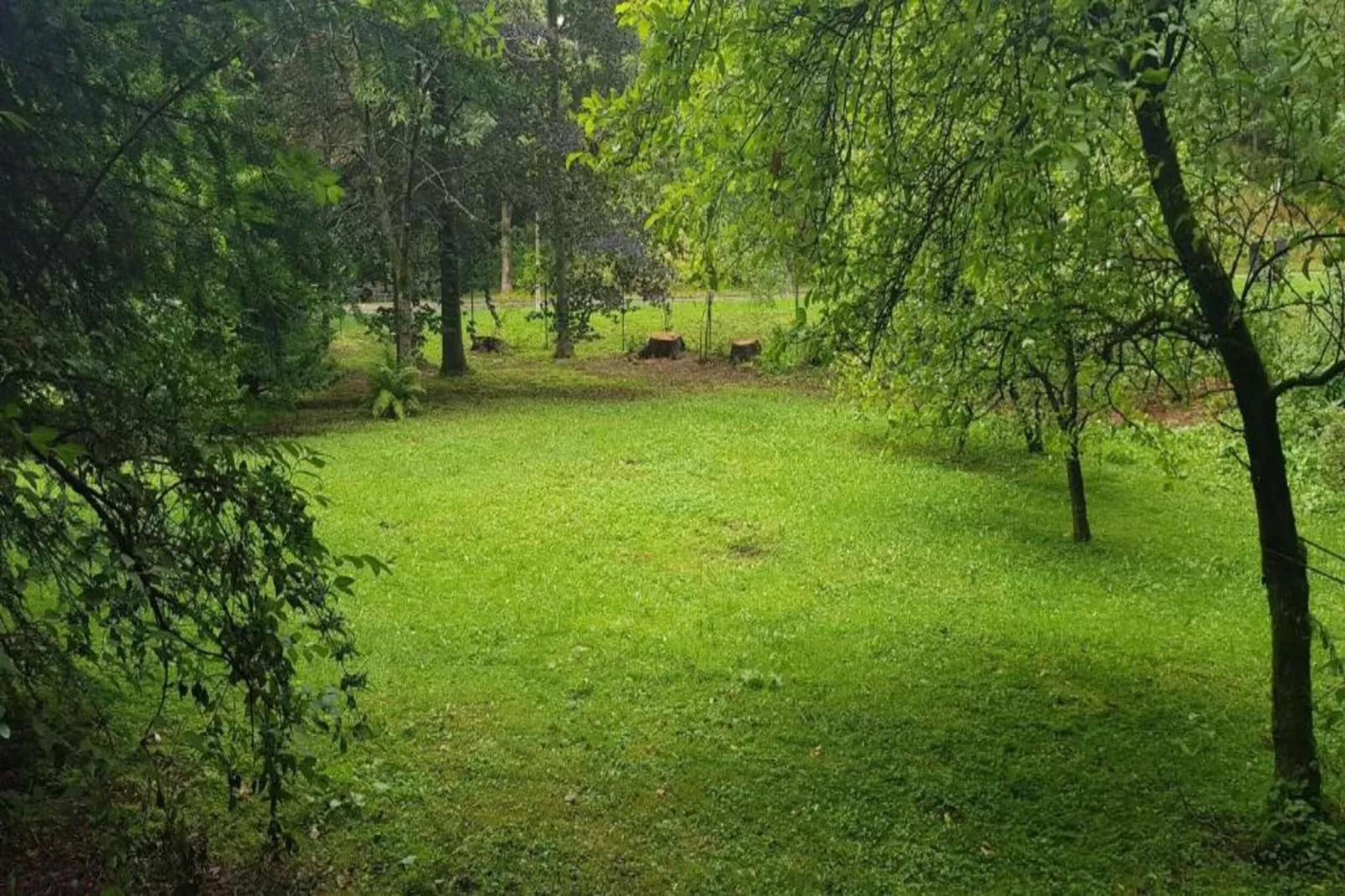 Ferienapartment Romatik in Wildemann Harz-Areas summer 20km