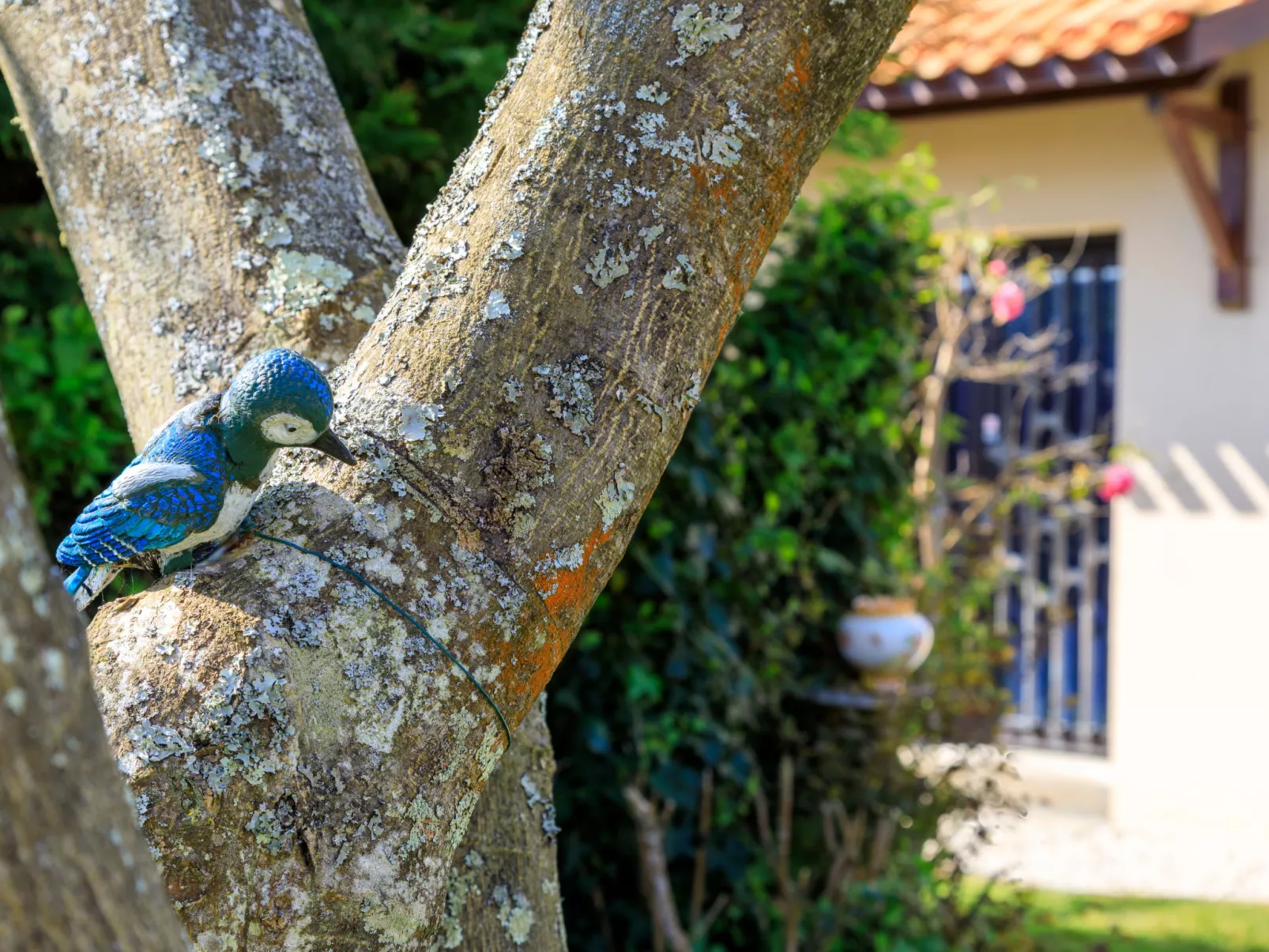 L'Oiseau Bleu-Outside
