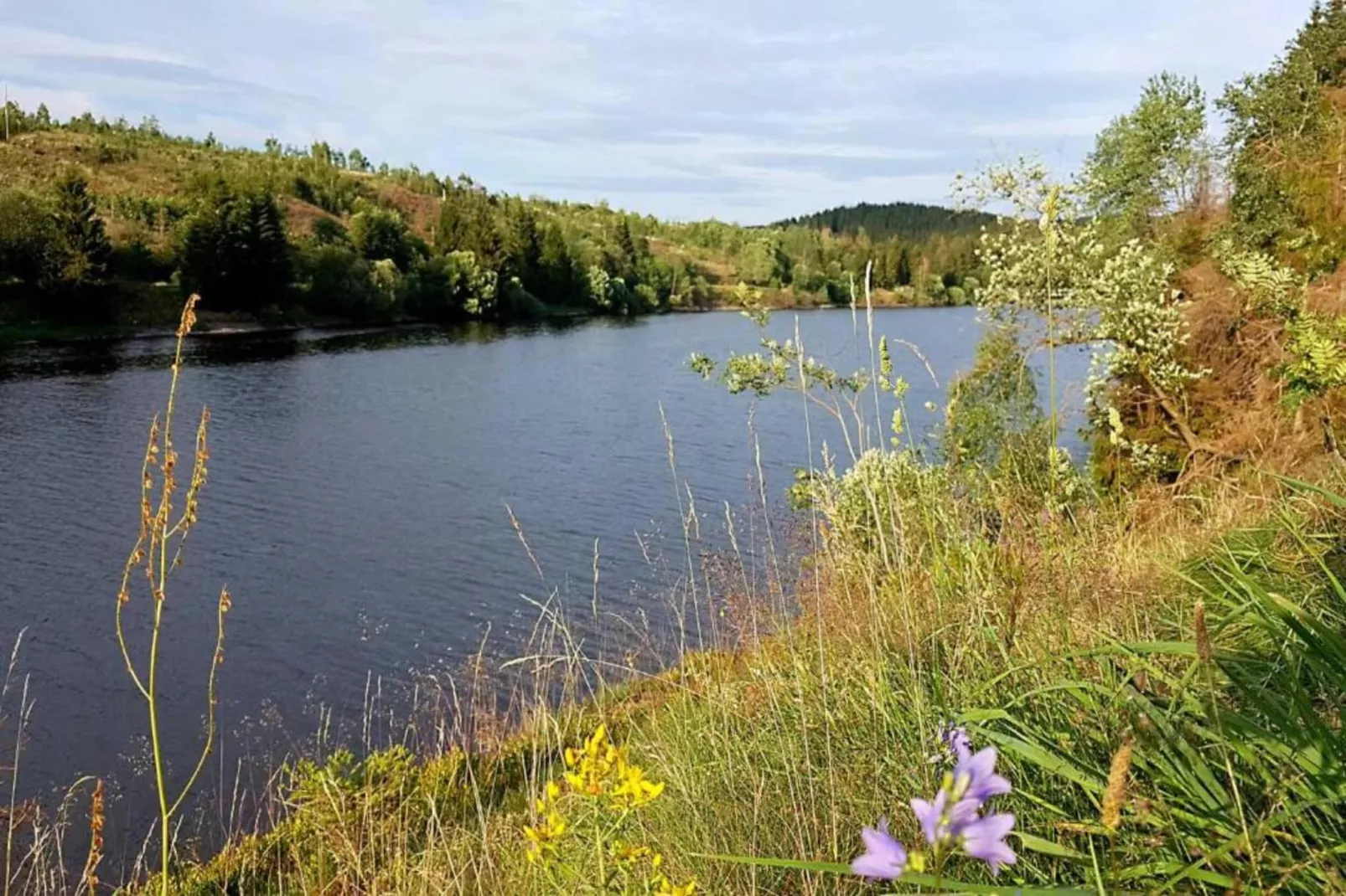 Ferienwohnung Elbingerode am Brocken-Zones d'été à 20 km