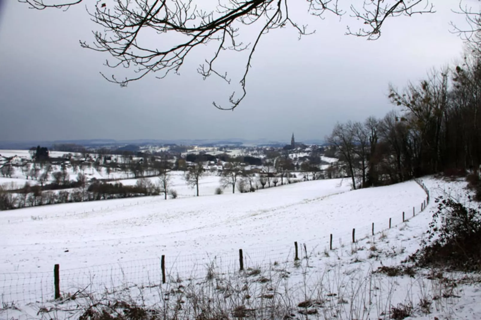 Vakantiepark Reevallis 7-Area winter 1km