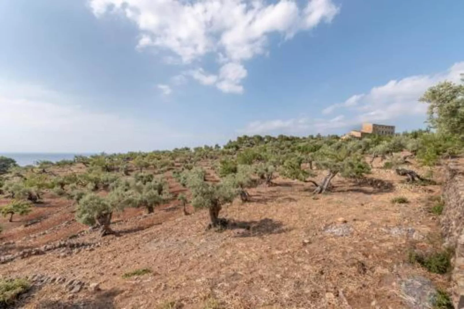 Camping del Mar BUNGALOW MEDITERRANI-Areas summer 20km
