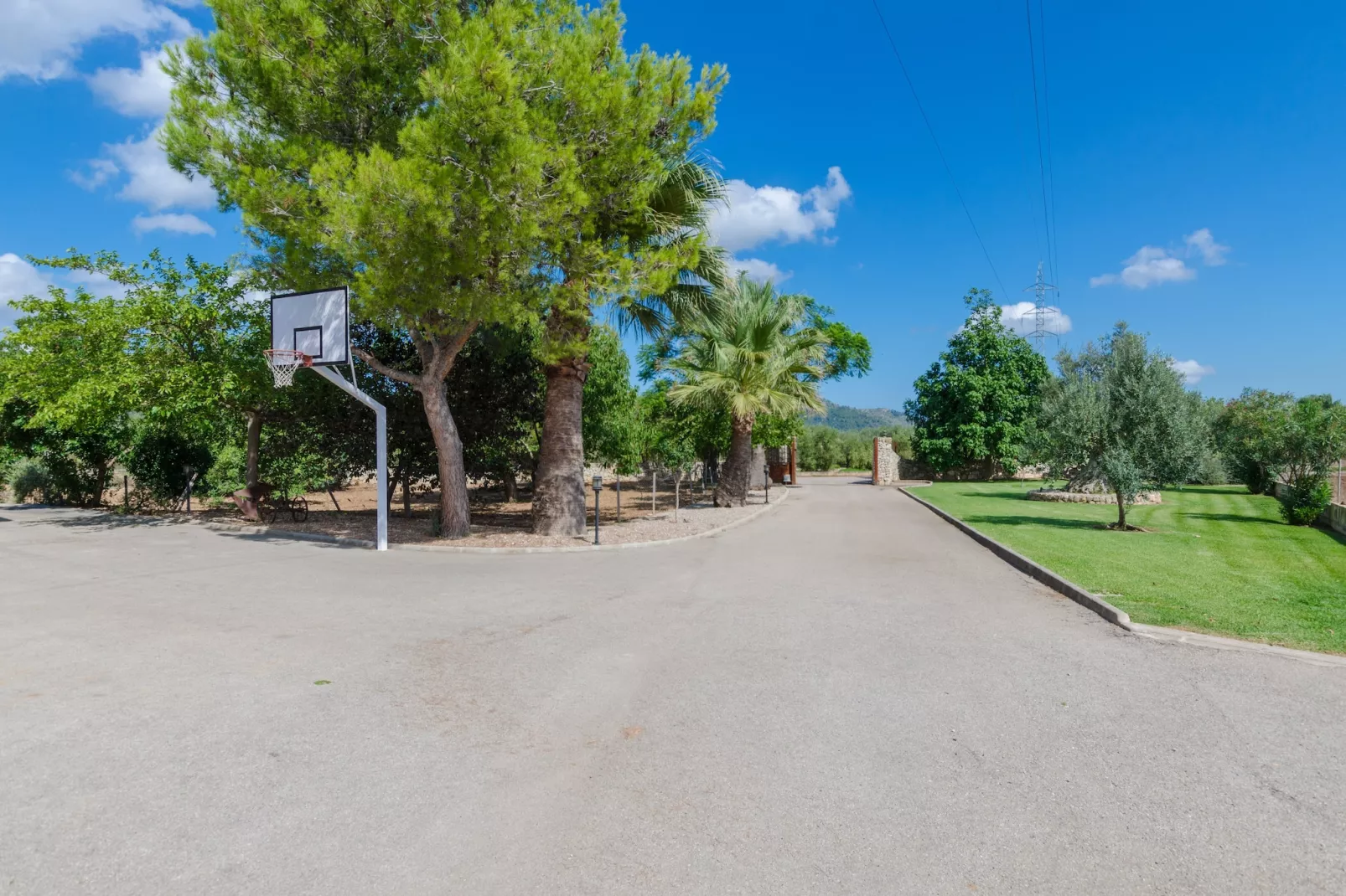 Sa Resclosa-Areas summer 1km