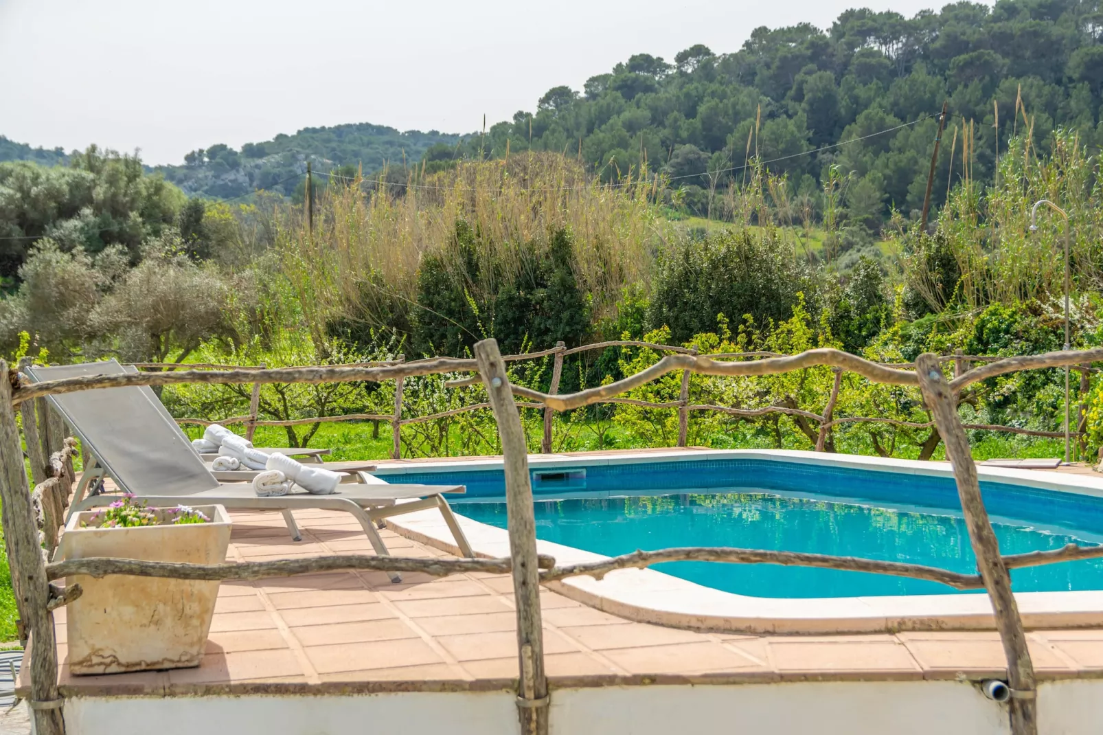 Casa Dina-Image-tags.