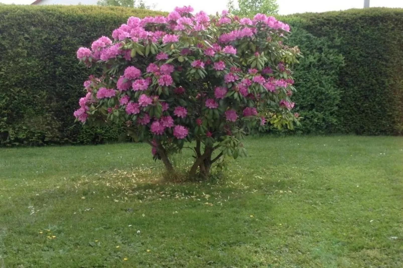 Suite im Taunus-Ambiente