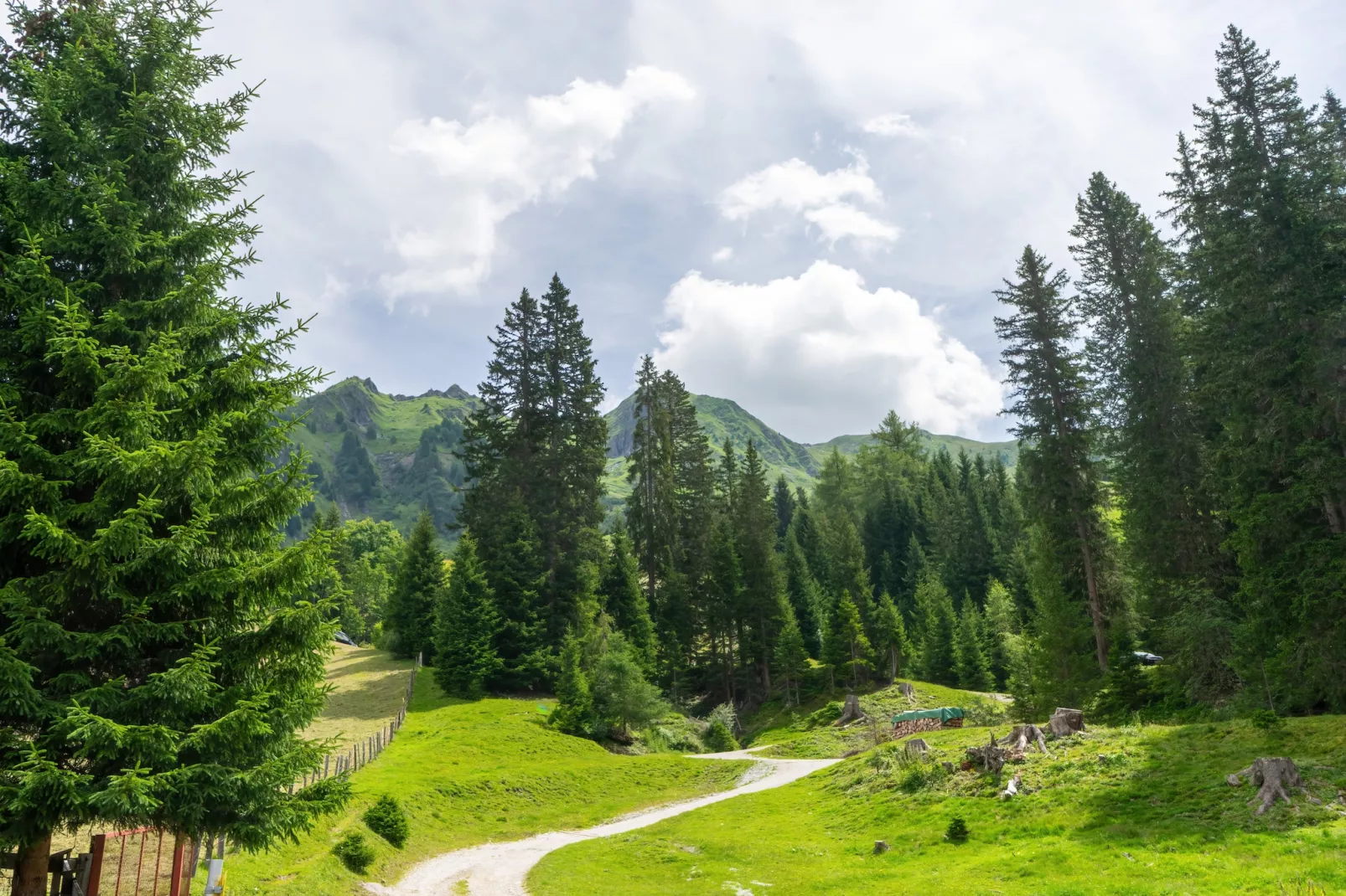 Naviser Hütte Wohnung Grünberg 144-Aussicht Sommer