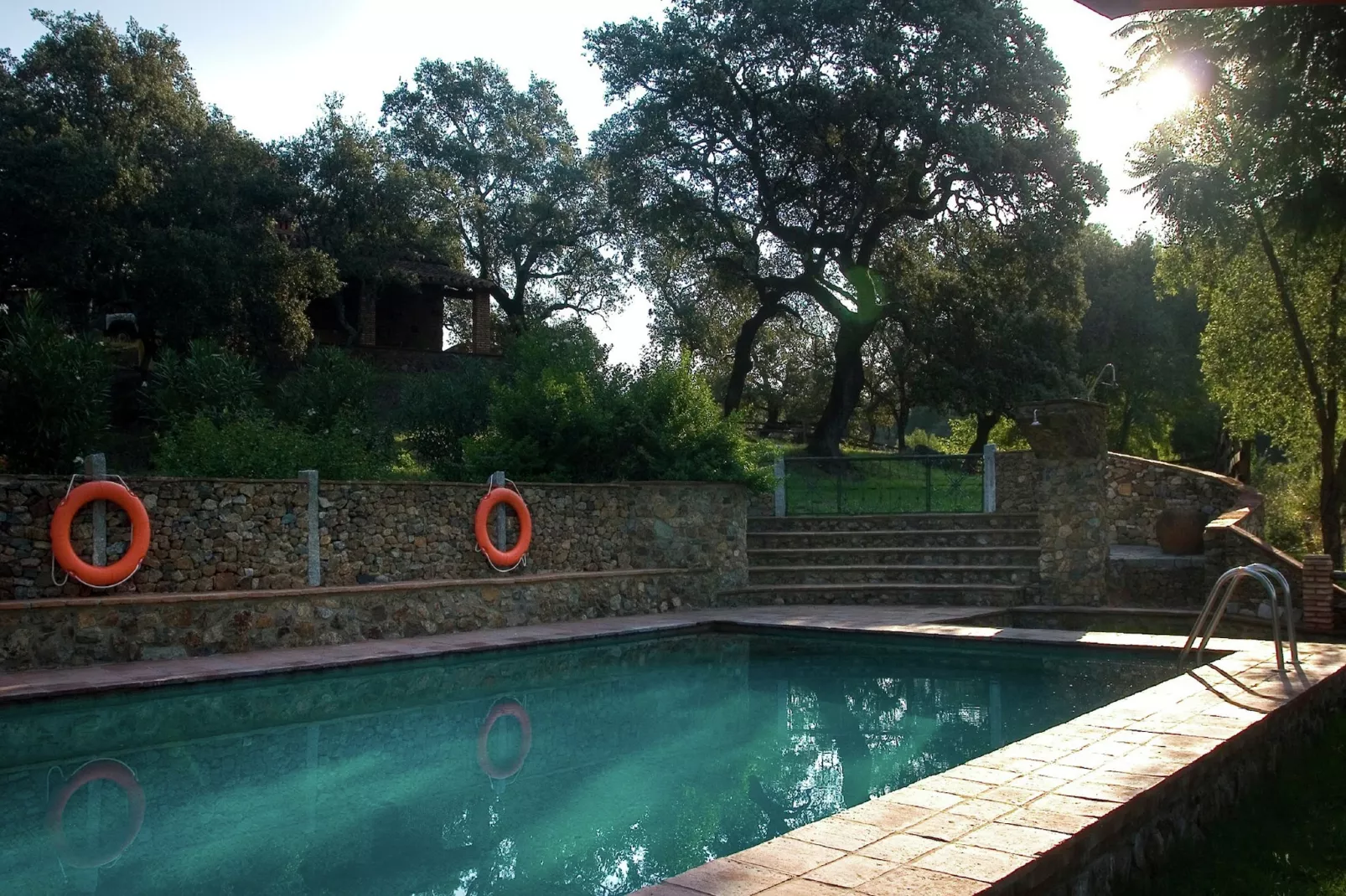The Turtle-Pool