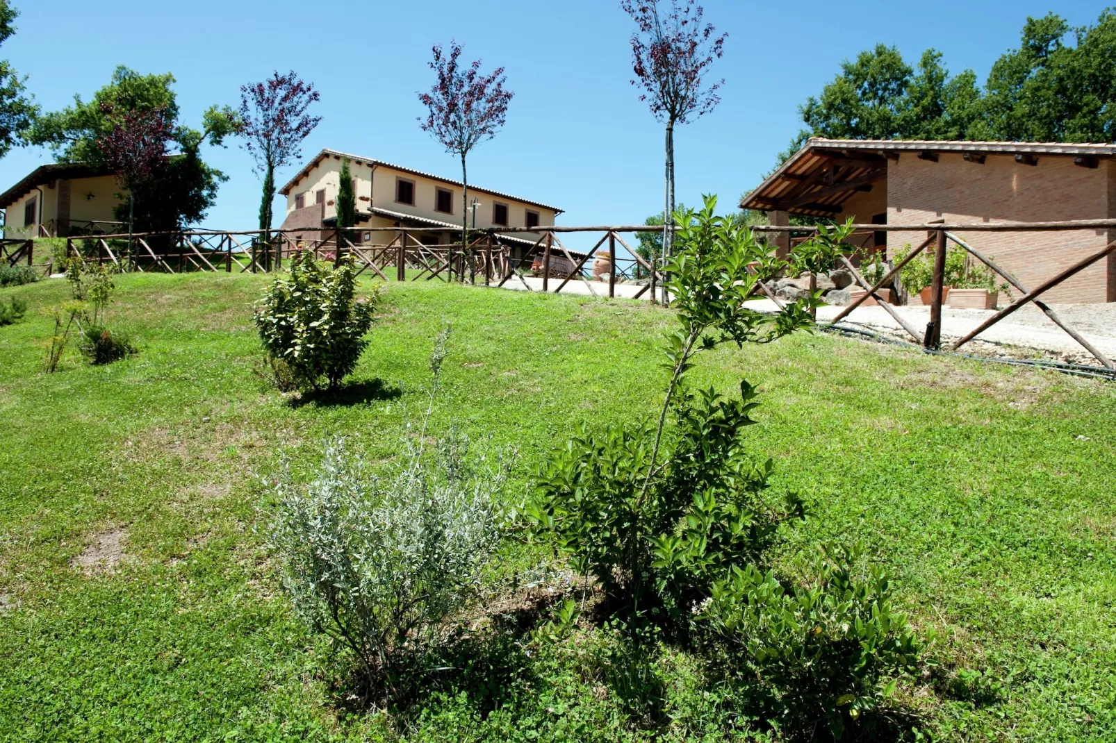 Maria-Gardens summer
