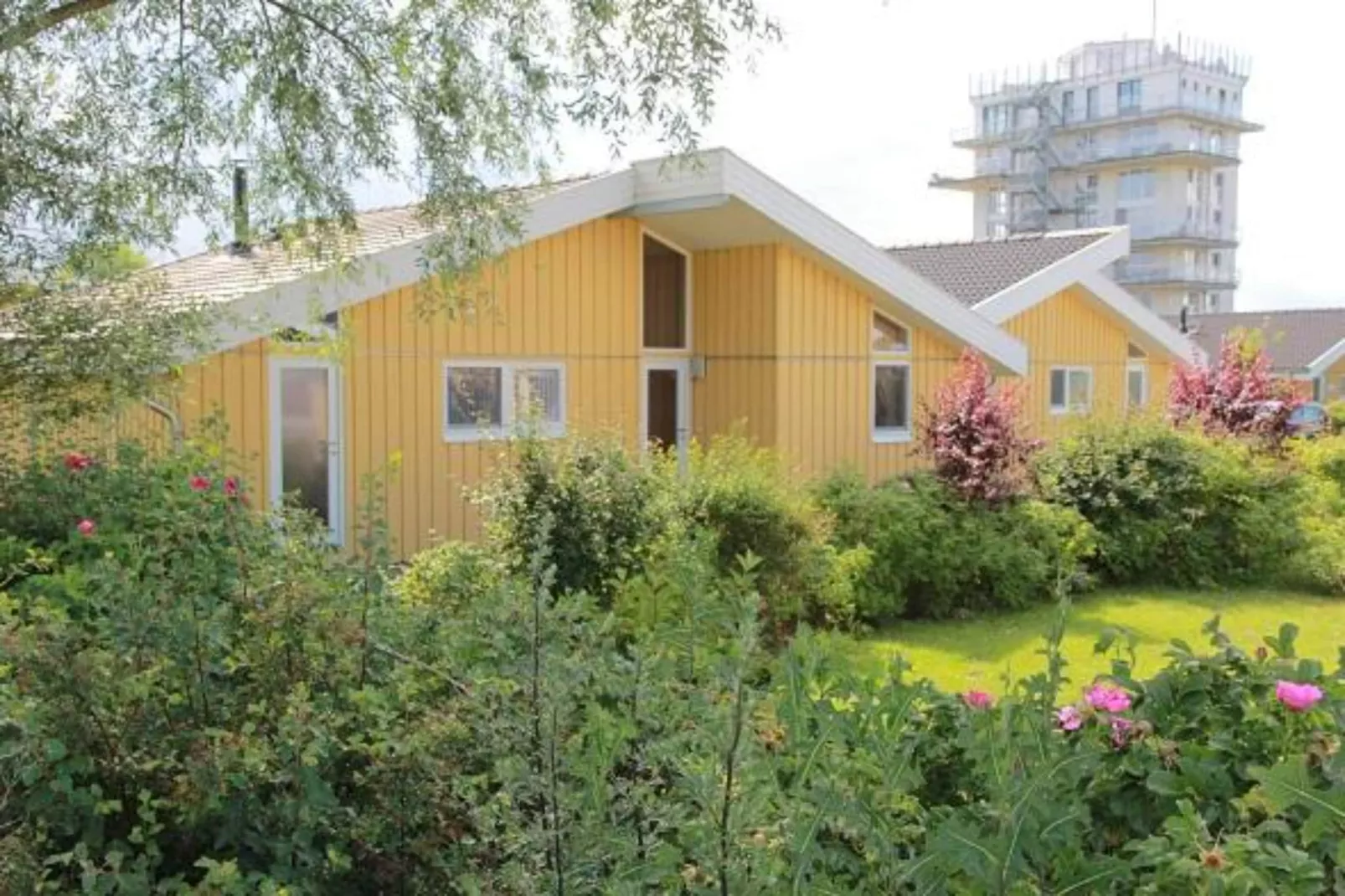 Ferienhaus Seeschwalbe-68-Exterior summer