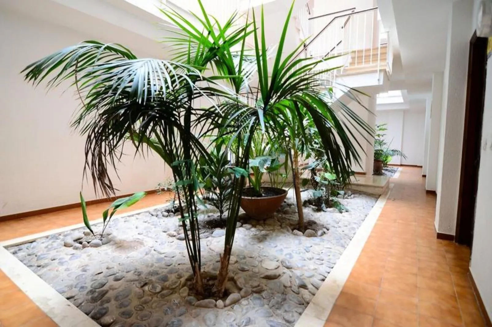 Appartements à L'Estartit-Außenbereich Sommer