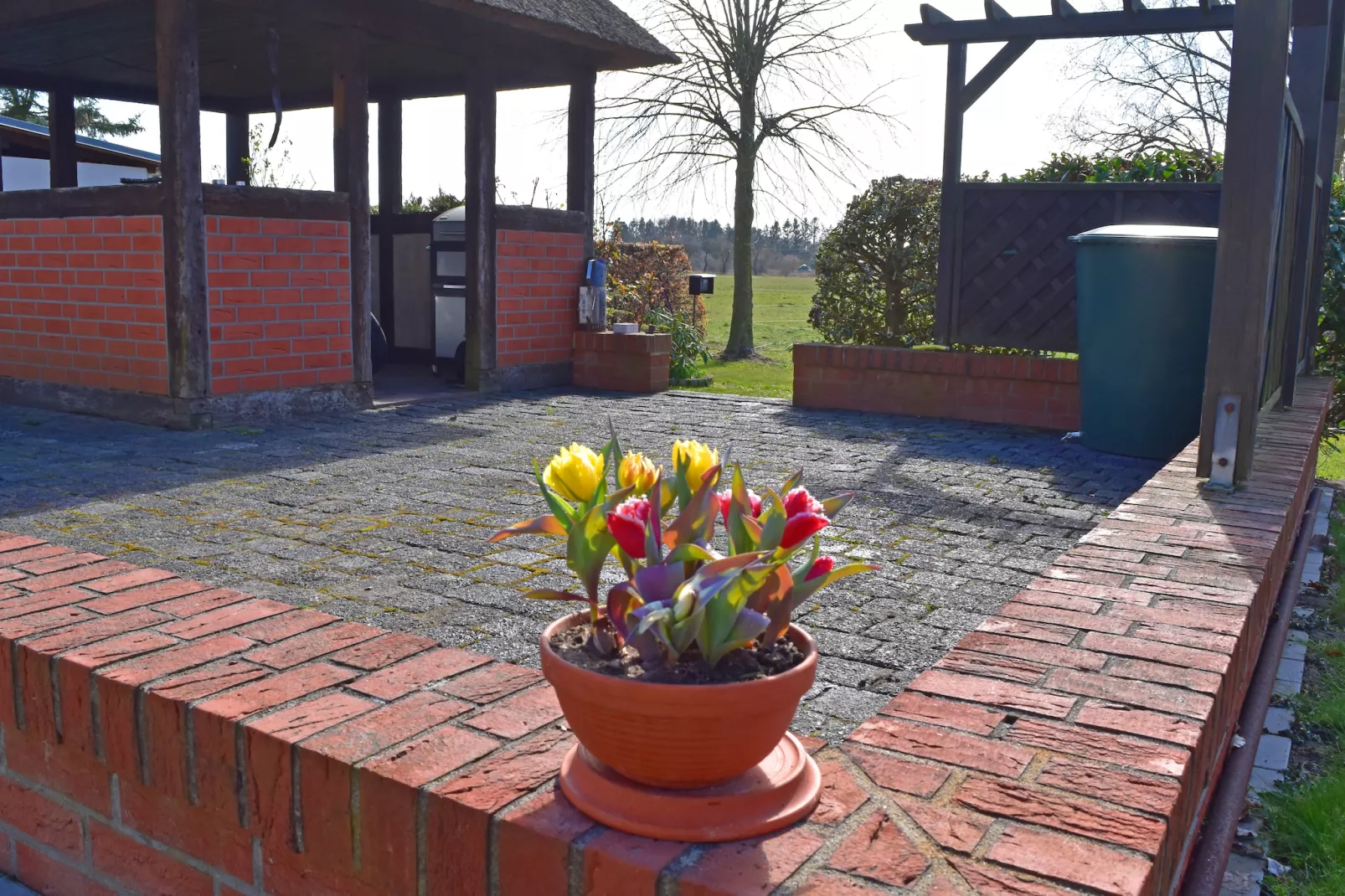 Ferien unterm Reetdach-Balcon-terrasse