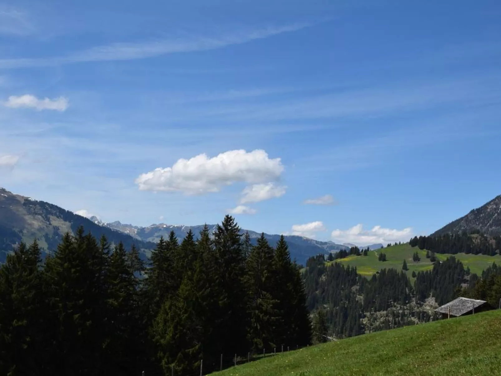 Alphütte Gibelhüttli-Outside