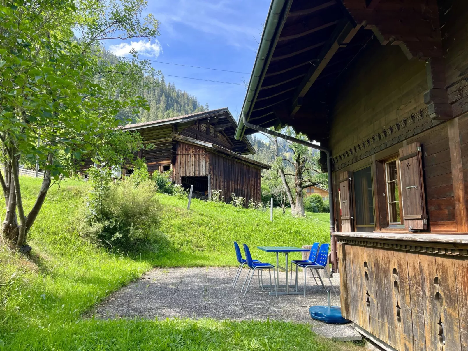 Akelei (gross)-Draußen