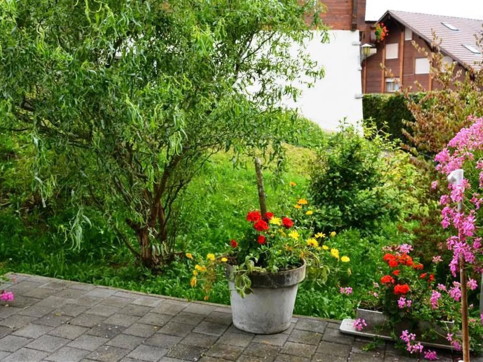 Spillgerten-Blick-Outside