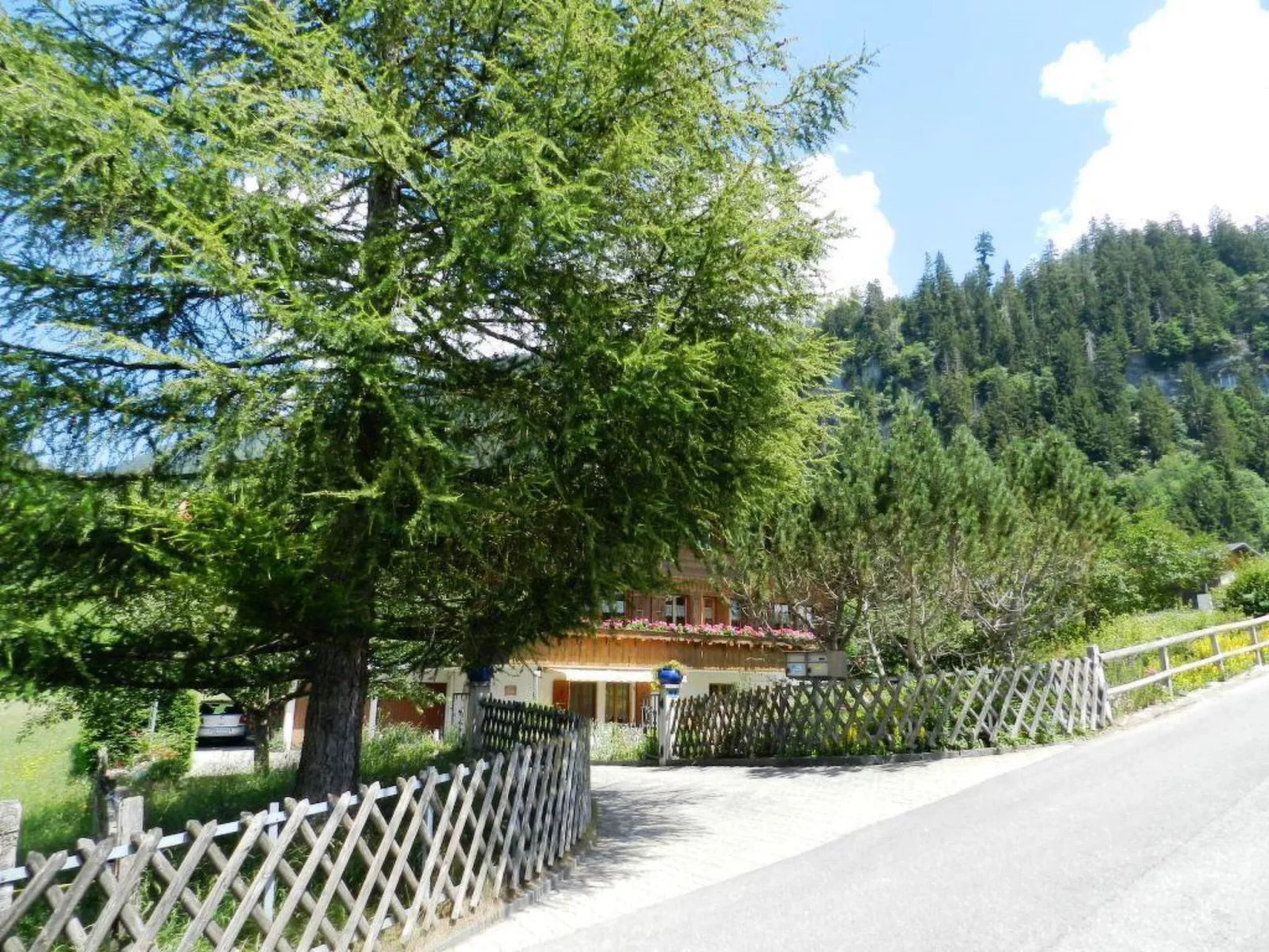Giferblick-Dehors