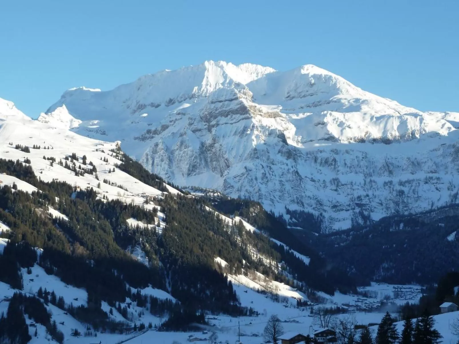 Bach-Dehors
