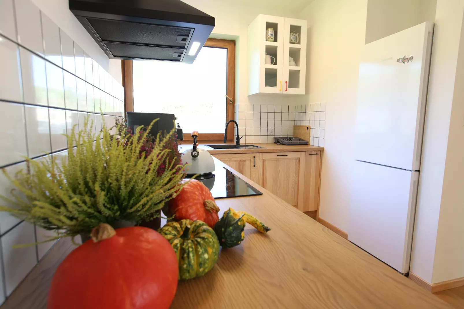 Holiday home in Dabie-Kitchen