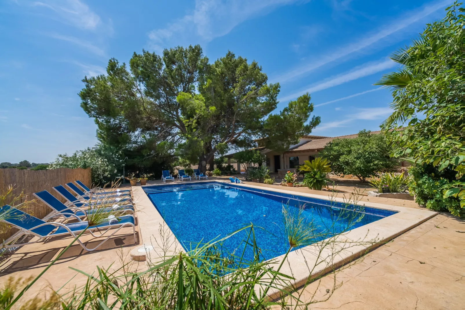 Can Ribas-Piscine