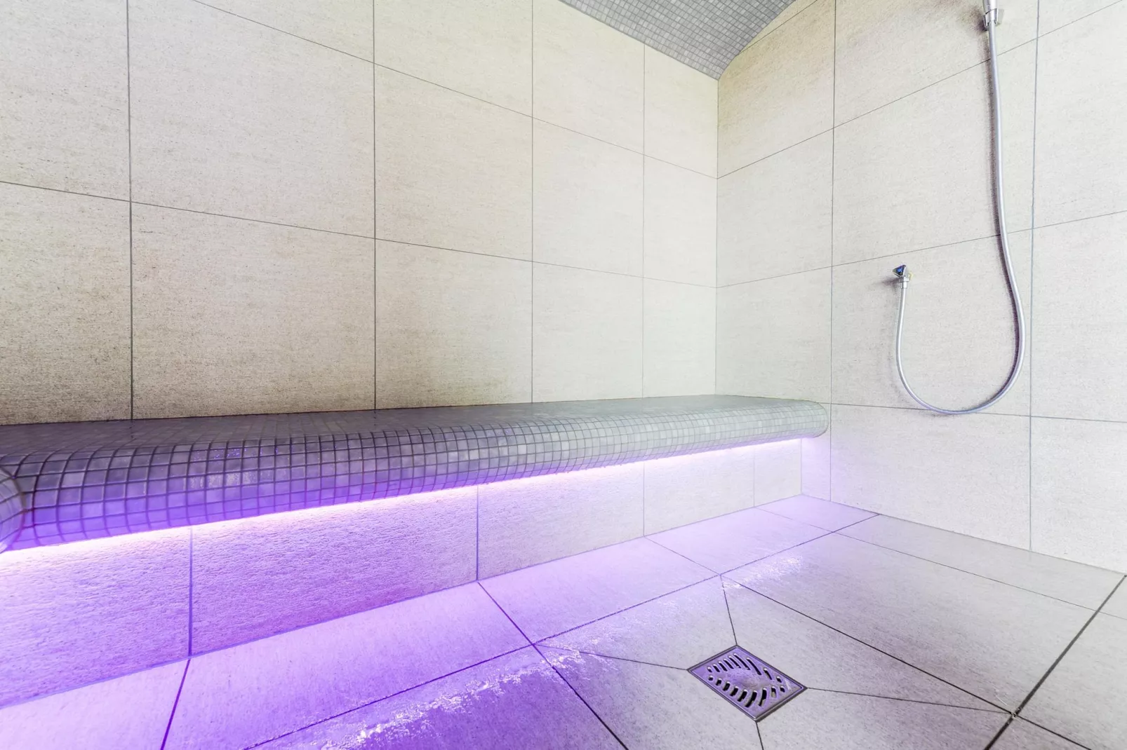 COMBLOUX Les Fermes du Mont Blanc - A24S-Facilities