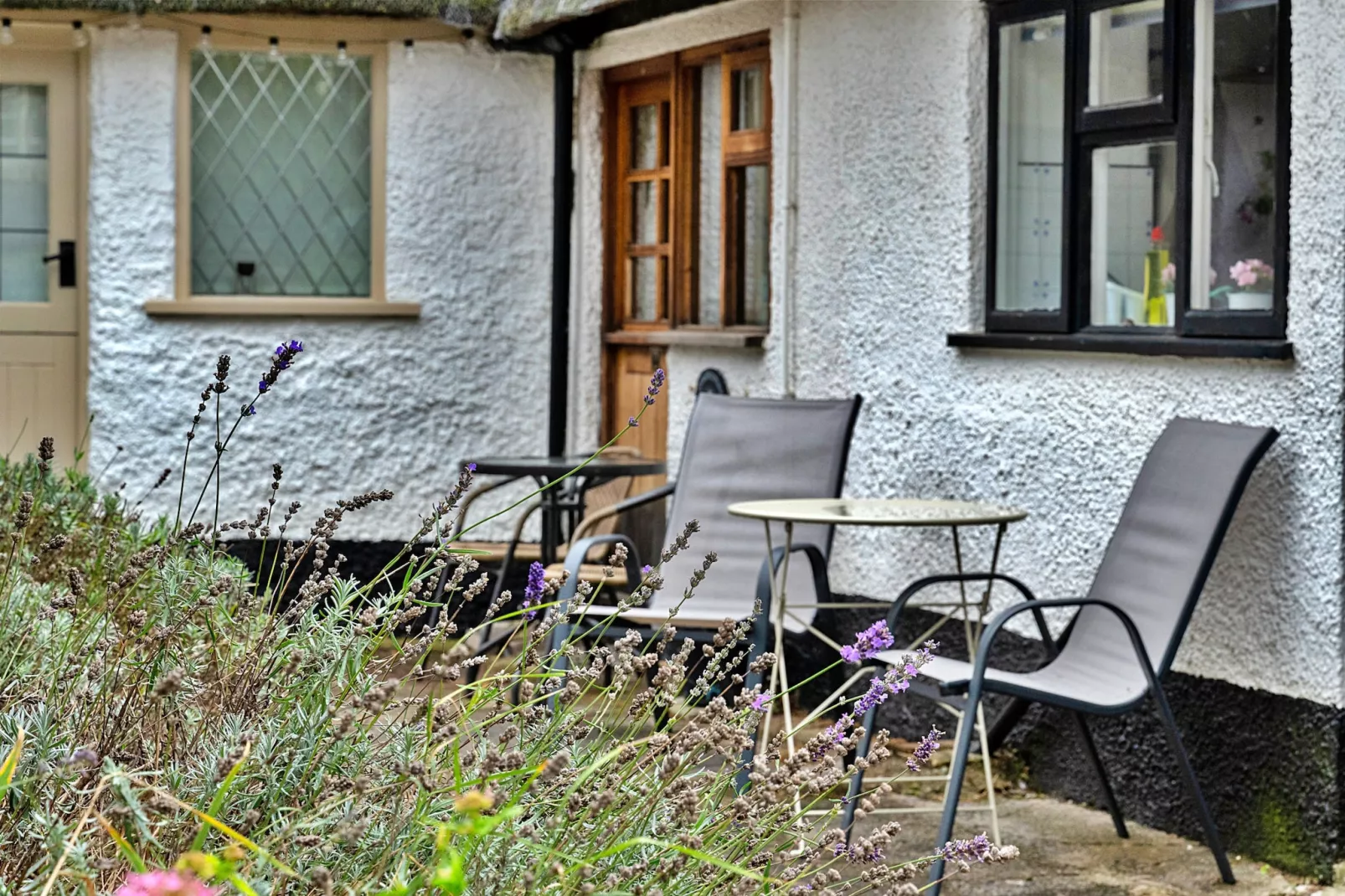 Clematis Cottage-Terrace balcony