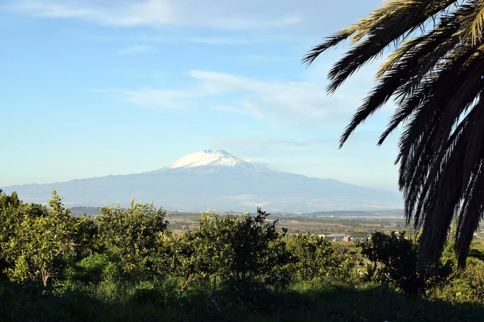 Villa Francofonte-View summer