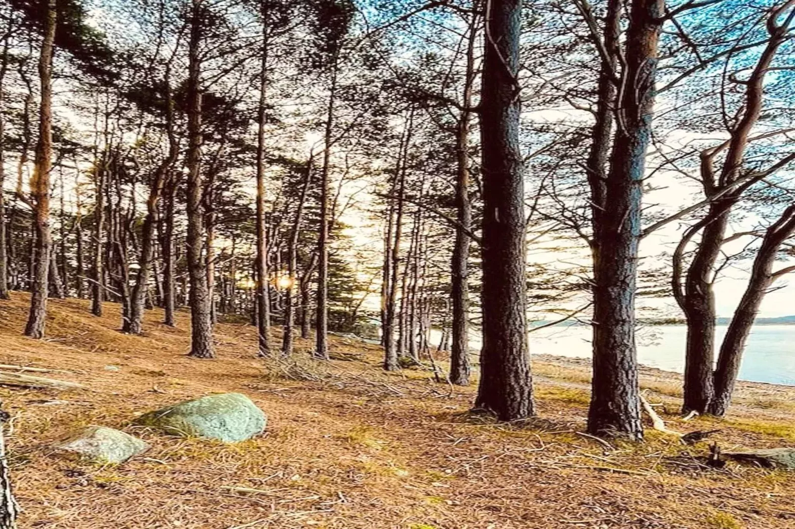 4 star holiday home in TJÖRN-Outdoor