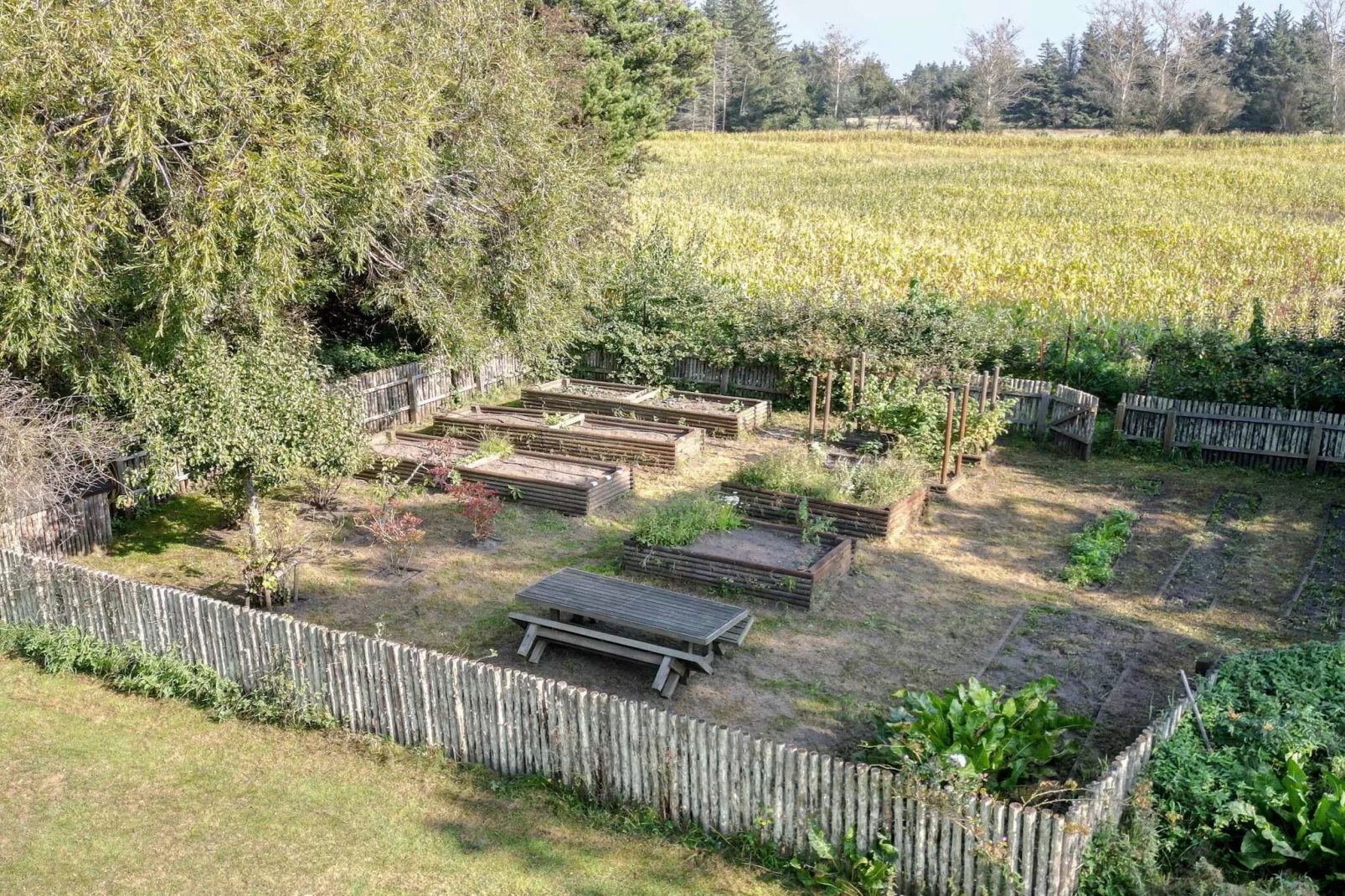 5 star holiday home in Ålbæk-Outdoor