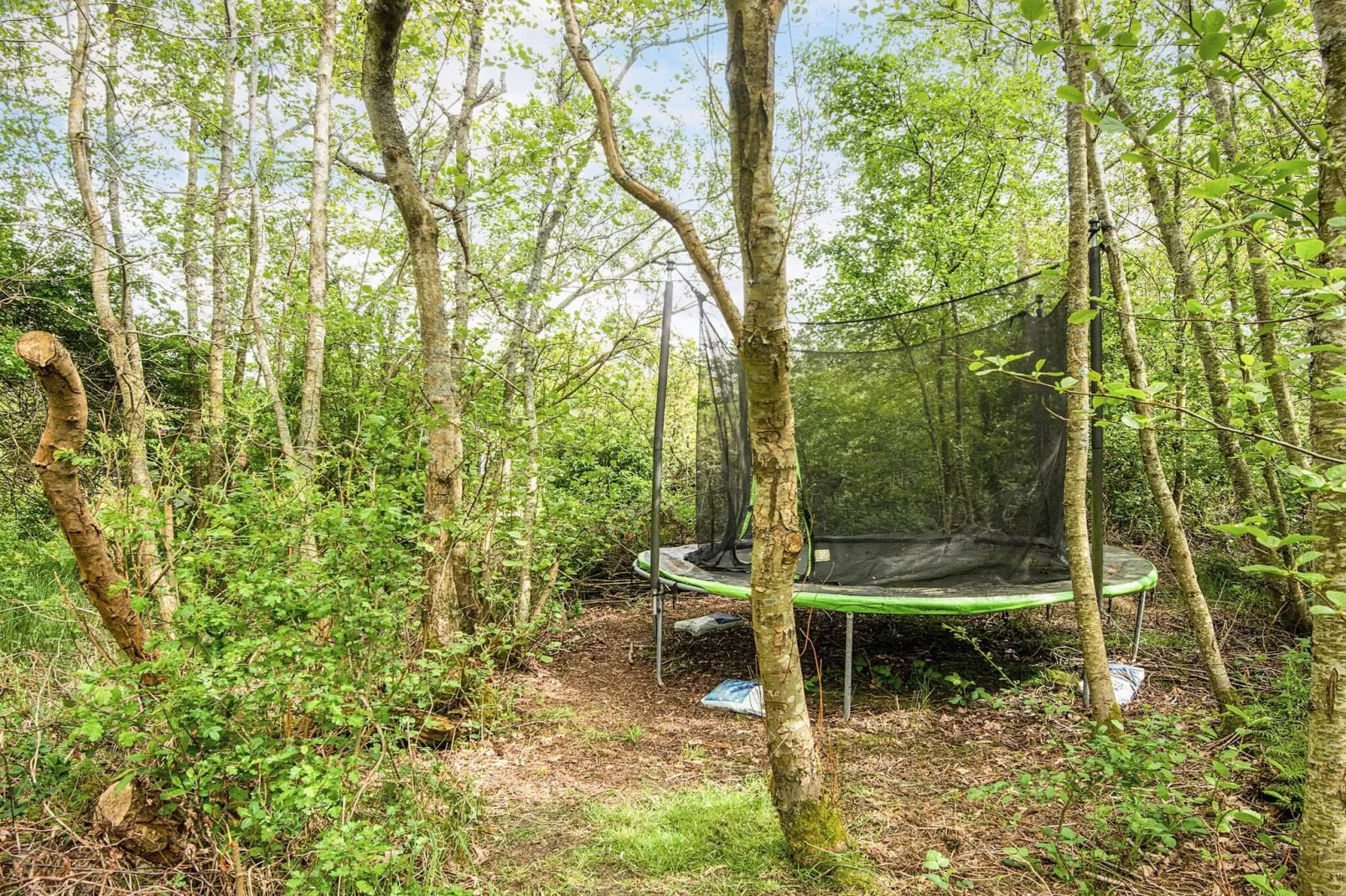 7 person holiday home in Hurup Thy-By Traum-Outdoor