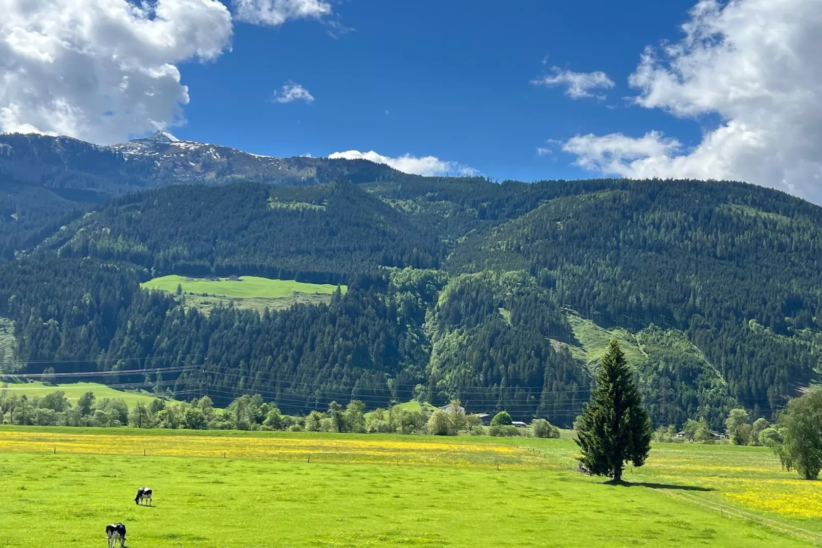 Holiday home near Kaprun Zell am See-View summer
