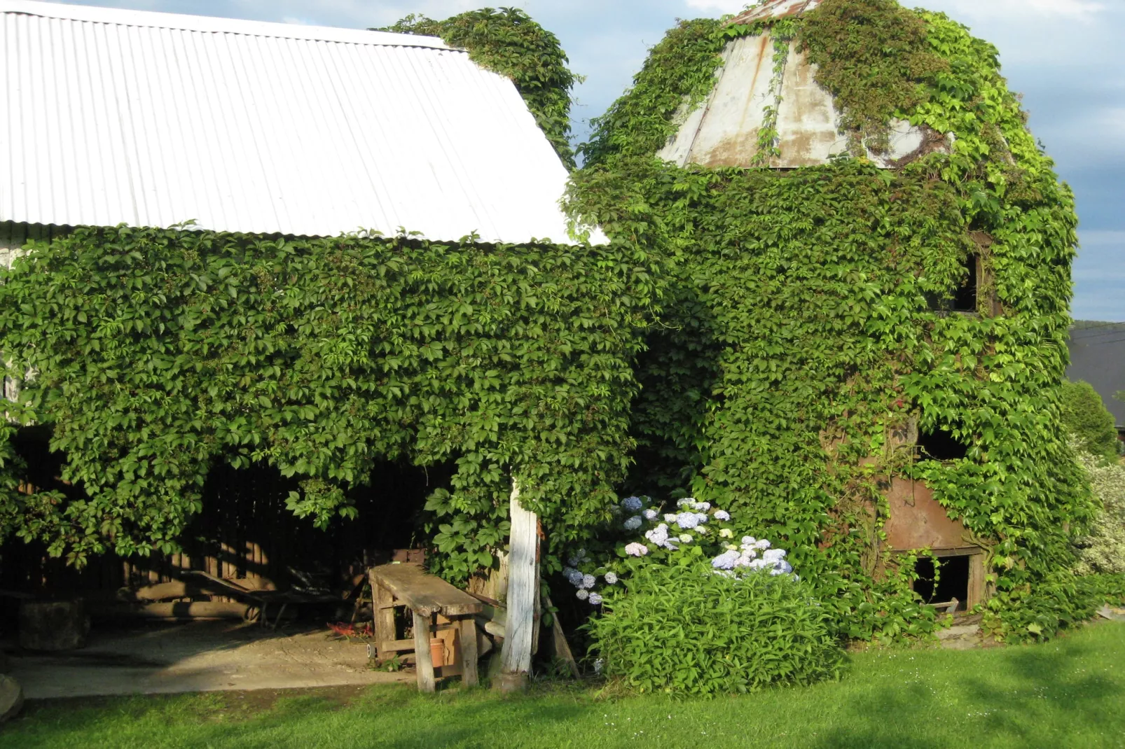 La Tour de Daverdisse-Gardens summer
