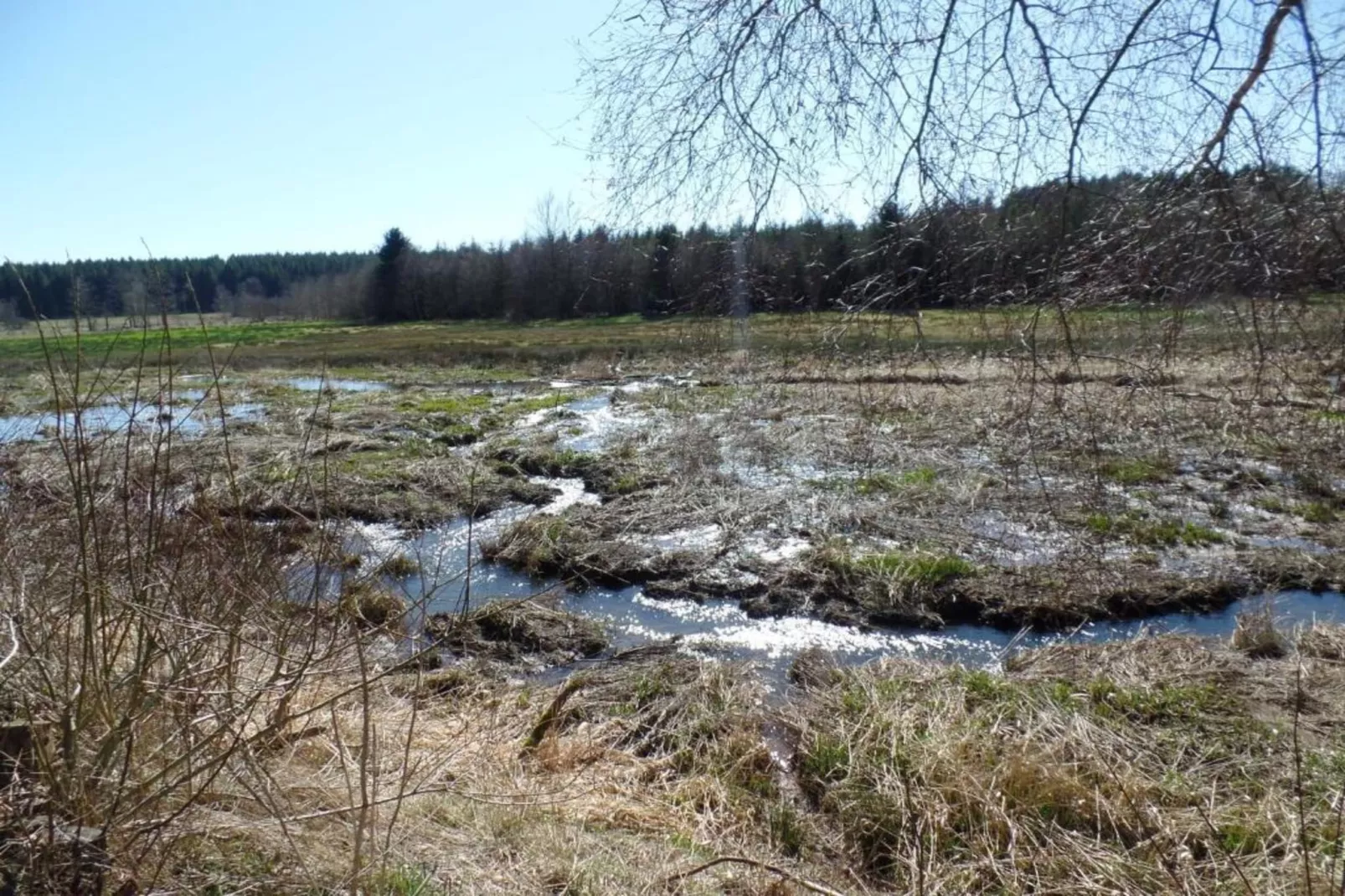 Le Sanglier-Areas summer 20km