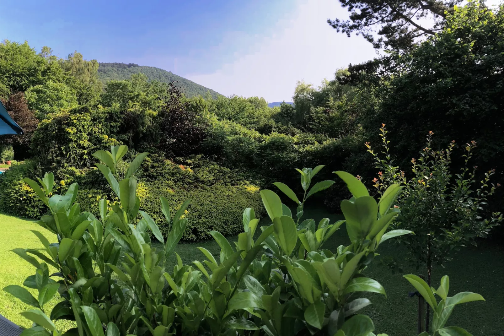 Quarreux 27-View summer