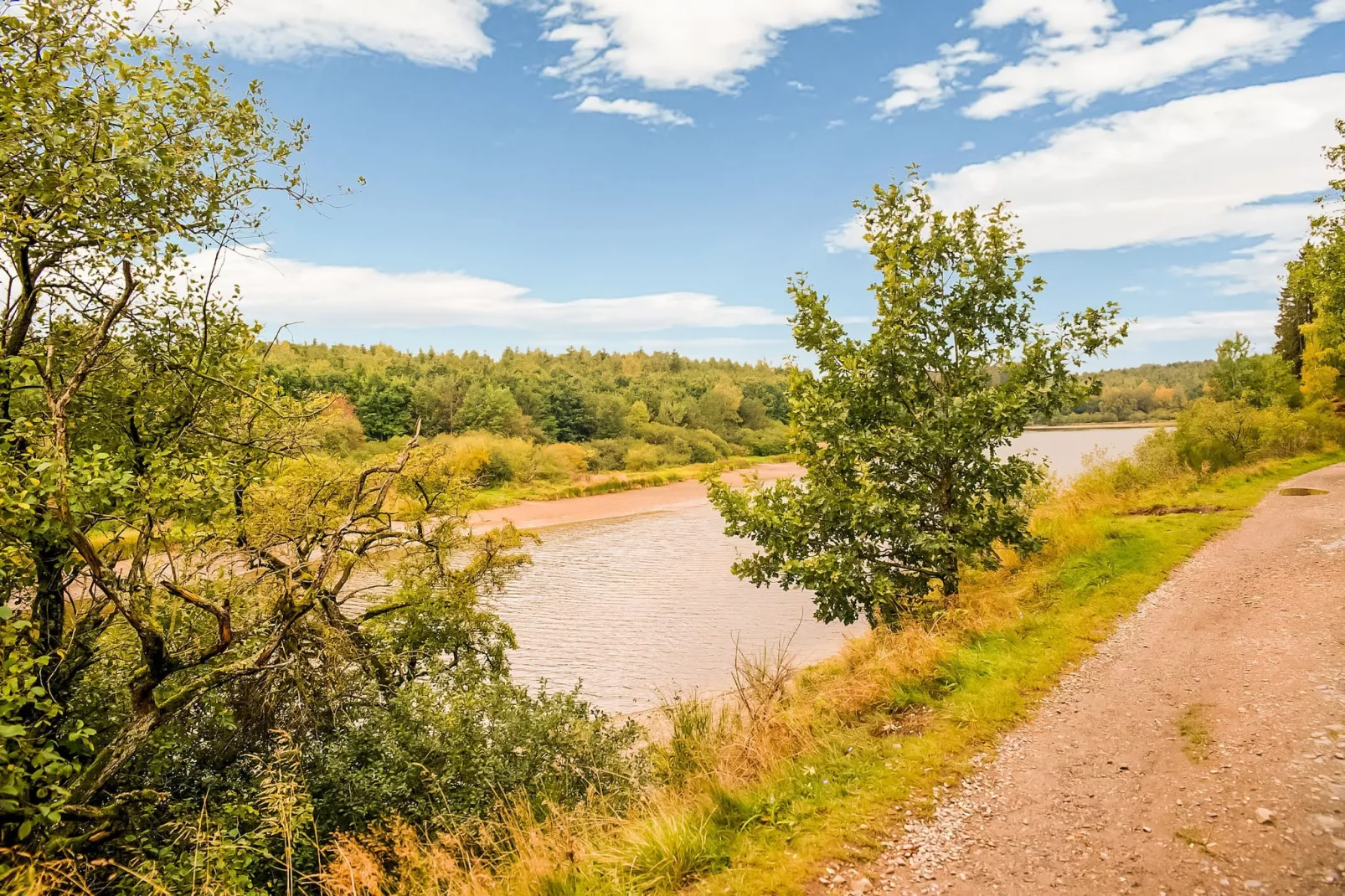Au bout de l'Ardenne-Areas summer 1km