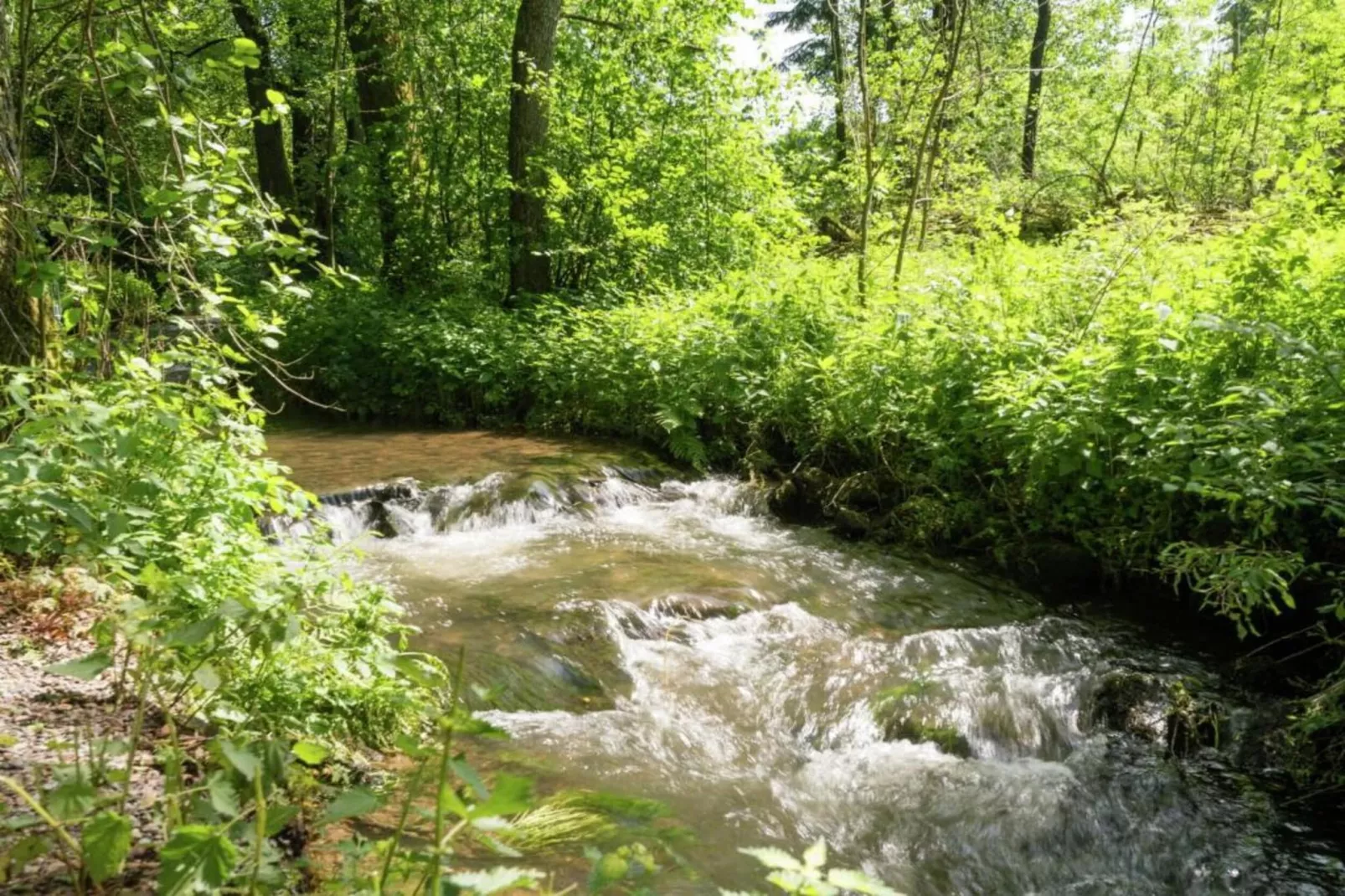 Likthuus 9-Areas summer 20km