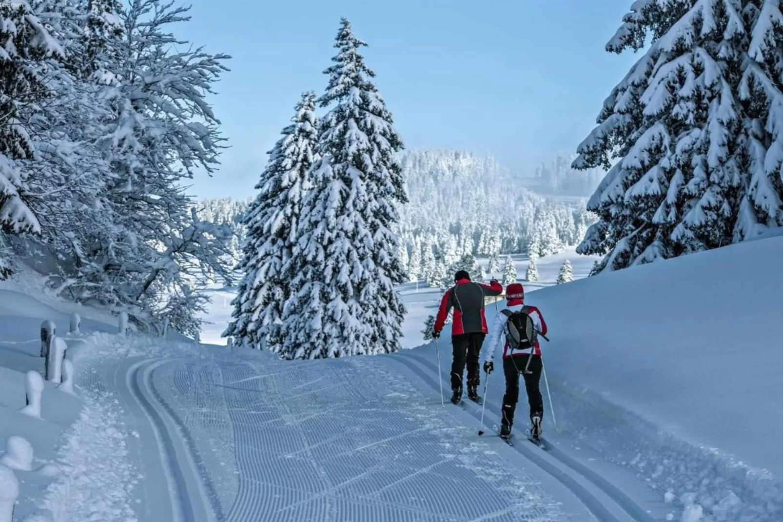 Alpina-Zones d'été à 20 km