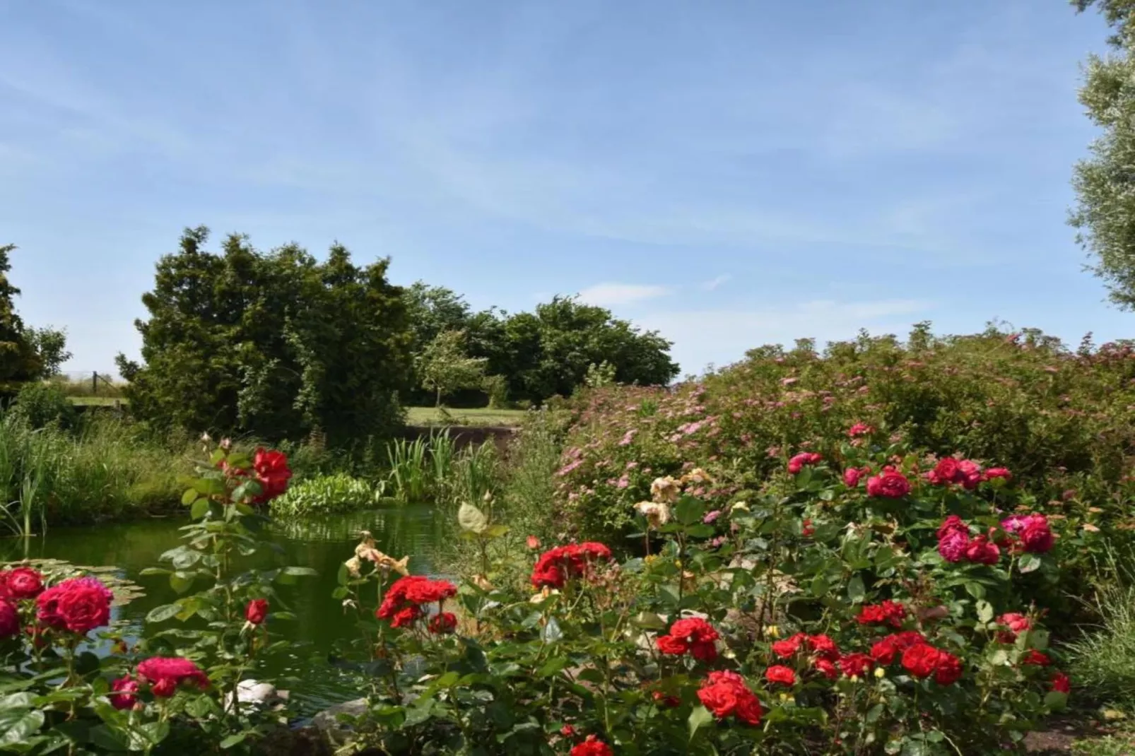 Ferienzimmer im Birkenweg-Zones d'été à 20 km