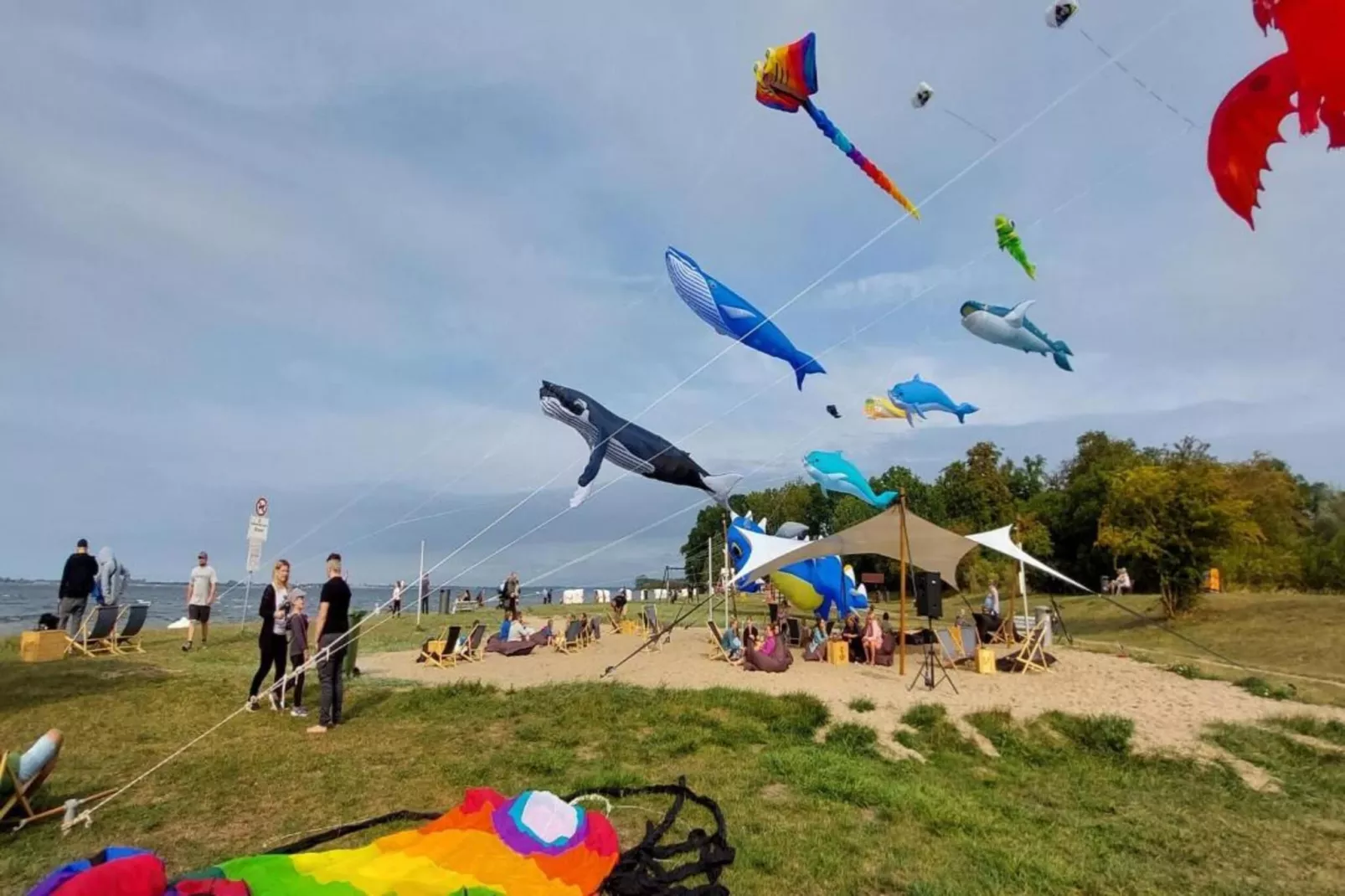 Bernsteinring Z1A-Gebiete Sommer 5 km