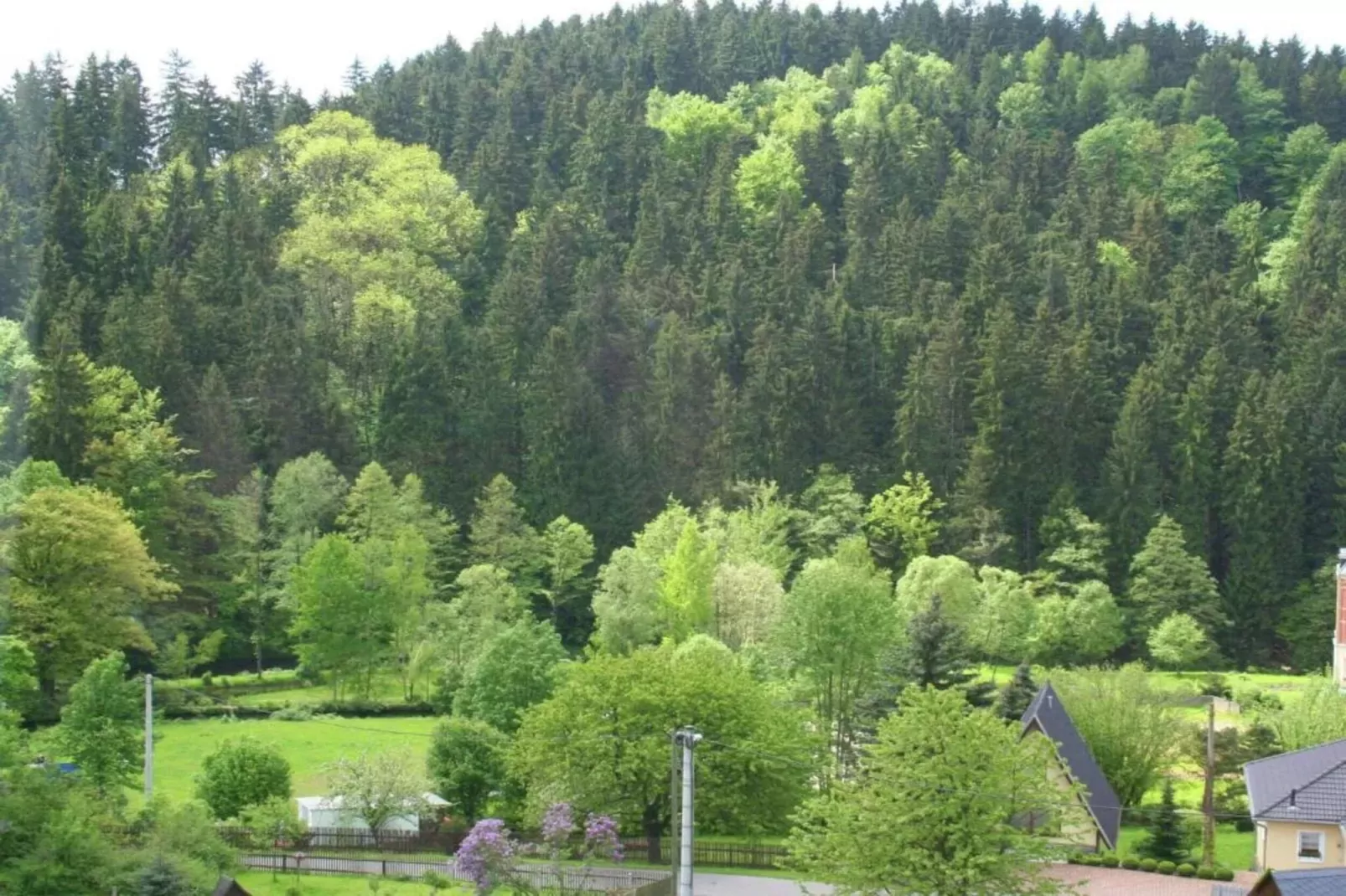 Villa im Erzgebirge-Areas within 20km in summer