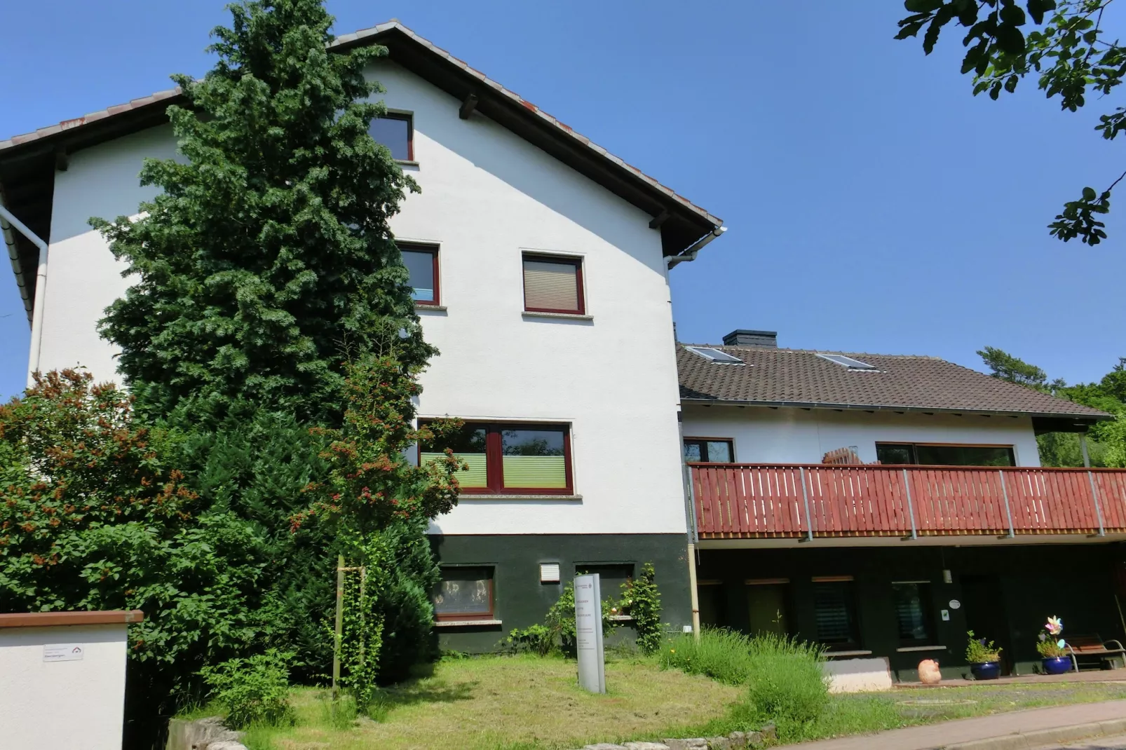 Im Kellerwald-Außenbereich Sommer
