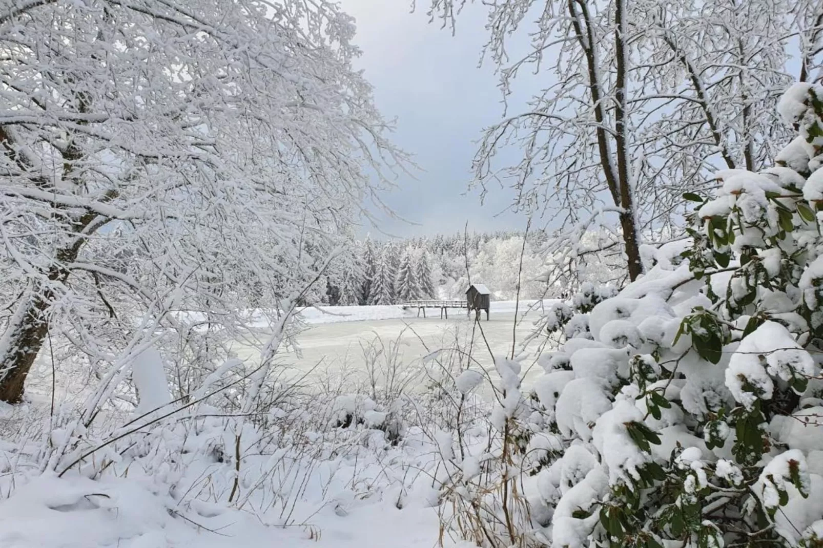 Hahnenklee 608 - Bergseite-Gebiet Winter 5 km