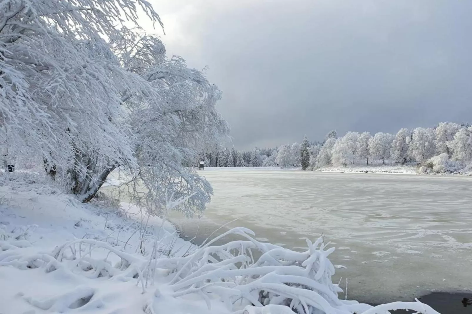 Albert-Gebiet Winter 20 km