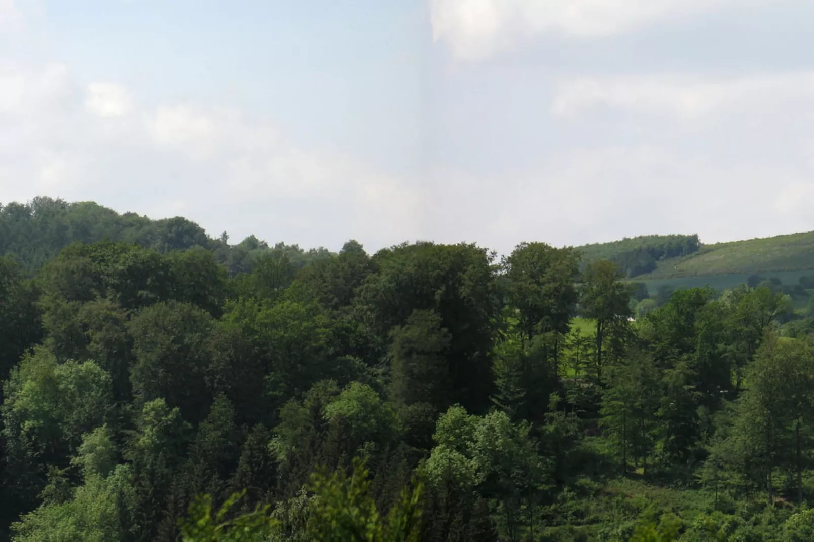 Ober der Hasselt-View summer