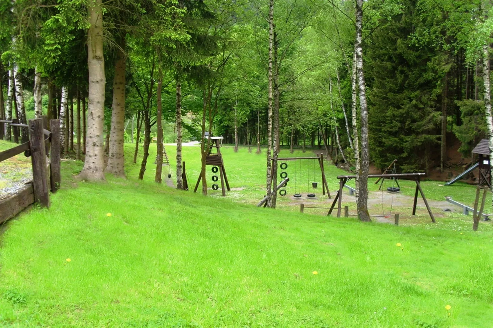 Murmeltier-Gebiete Sommer 1 km