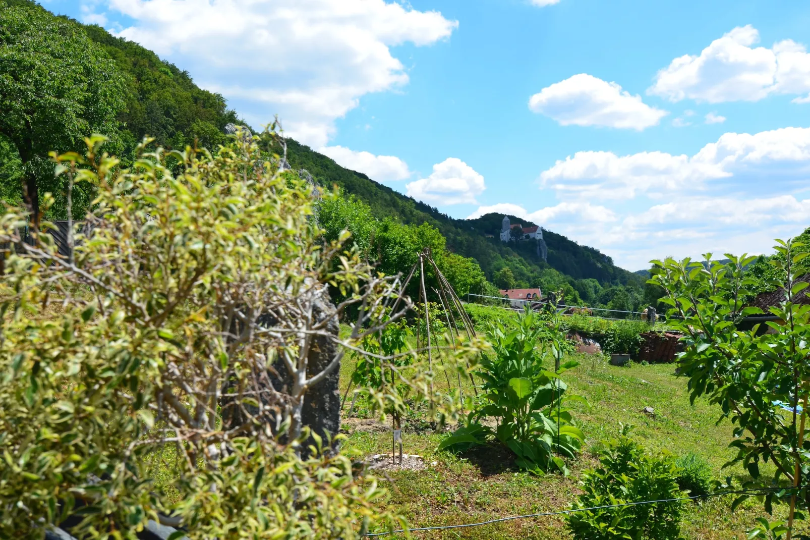 Im Altmühltal-View summer