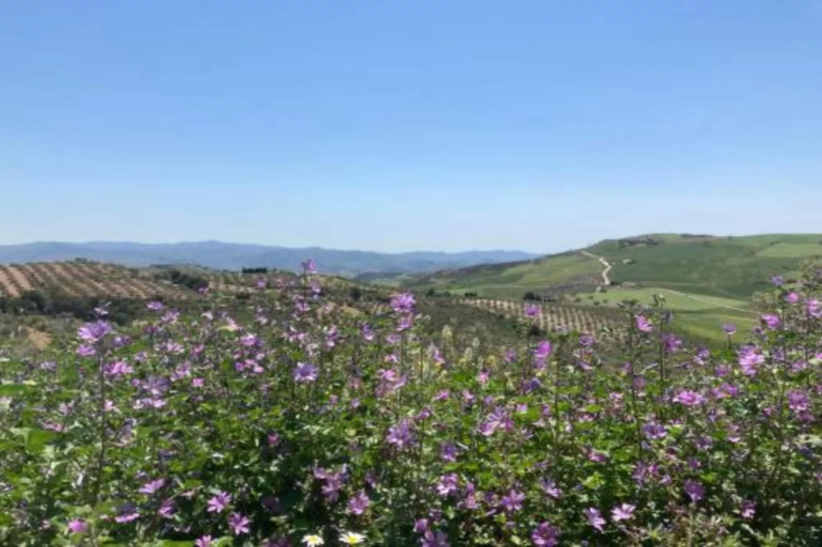 Las Gayumbas-Gebiete Sommer 20 km