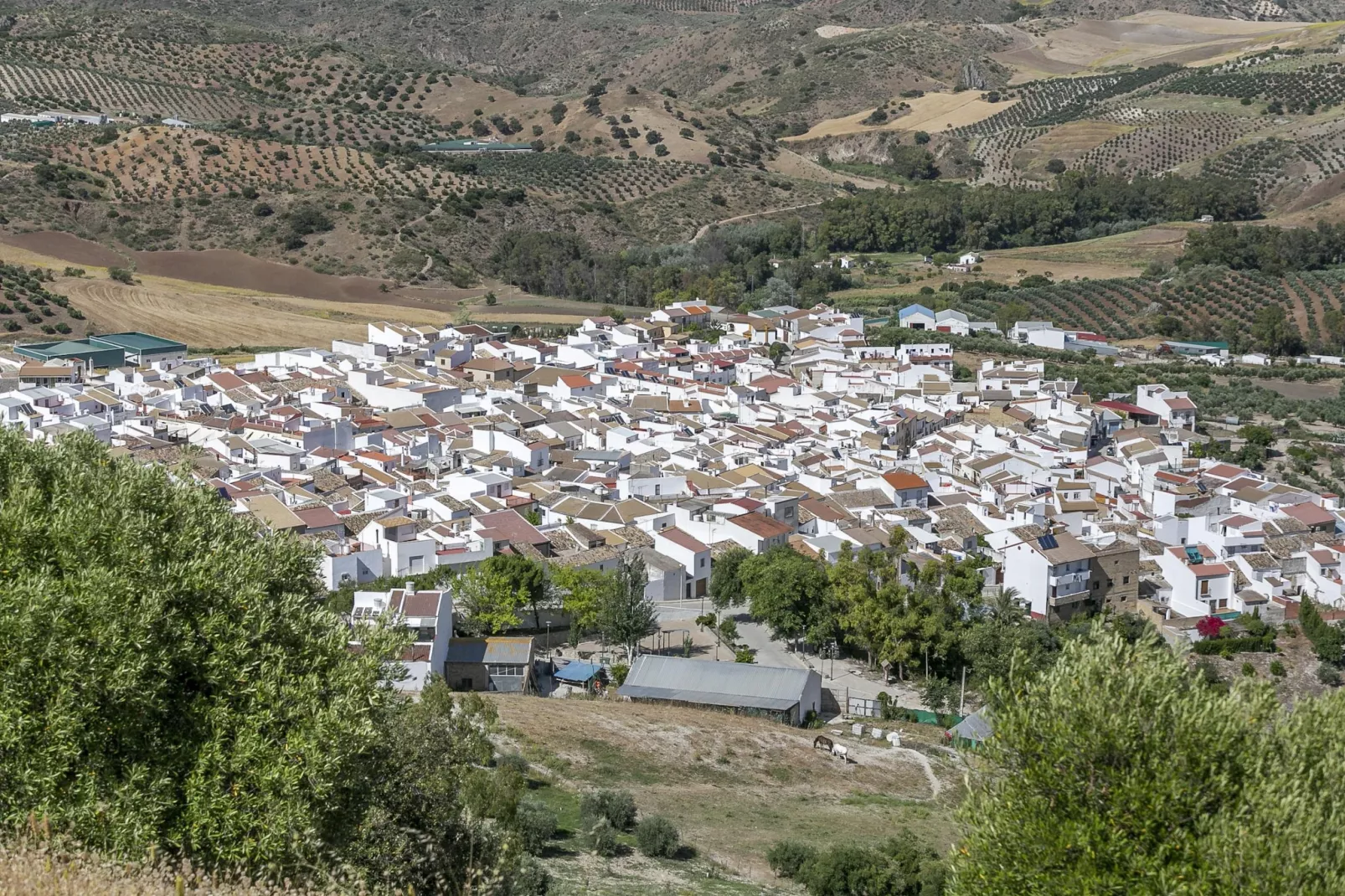Casa en Villanueva de San Juan-Areas summer 5km